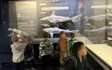 Wycieczka klas 2 12
