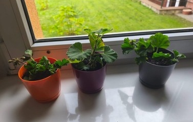 Mała hodowla, wielka przygoda! 13