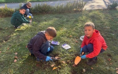 AKCJA KROKUS W KLASACH 1-3  3
