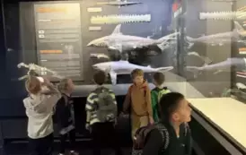 Wycieczka klas 2 12