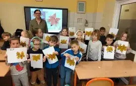 BARWY JESIENI - rozpoznawanie pospolitych gatunk&oacute;w drzew 5