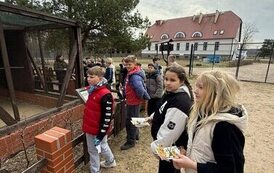 3a w Chocińskim Młynie 5