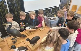 Lekcja przyrody dla przedszkolak&oacute;w 2