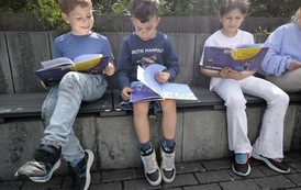 IMG_2505.jpeg