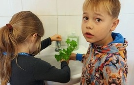 Mała hodowla, wielka przygoda! 5