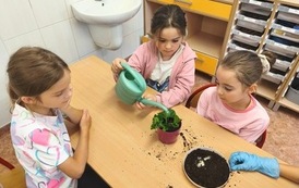 Mała hodowla, wielka przygoda! 7