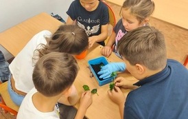 Mała hodowla, wielka przygoda! 8