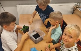 Mała hodowla, wielka przygoda! 9