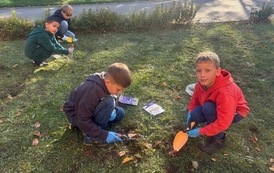 AKCJA KROKUS W KLASACH 1-3  3
