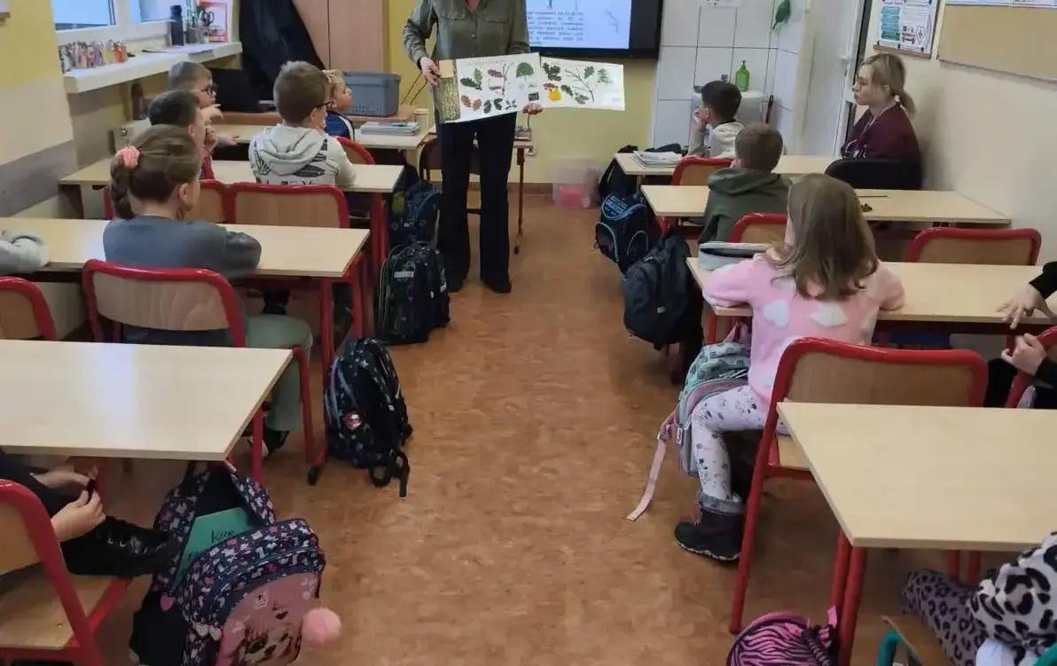 Zdjęcie do BARWY JESIENI - rozpoznawanie pospolitych gatunk&oacute;w drzew