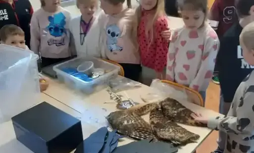 Zajęcia u przedszkolaków