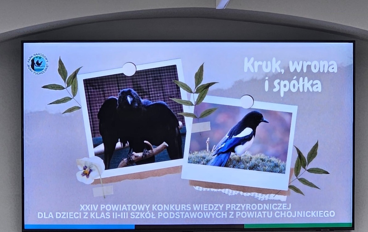 Zdjęcie do drugi etap XXIV Konkursu Wiedzy Przyrodniczej klas II-III szk&oacute;ł podstawowych
