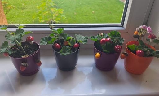Mała hodowla, wielka przygoda!
