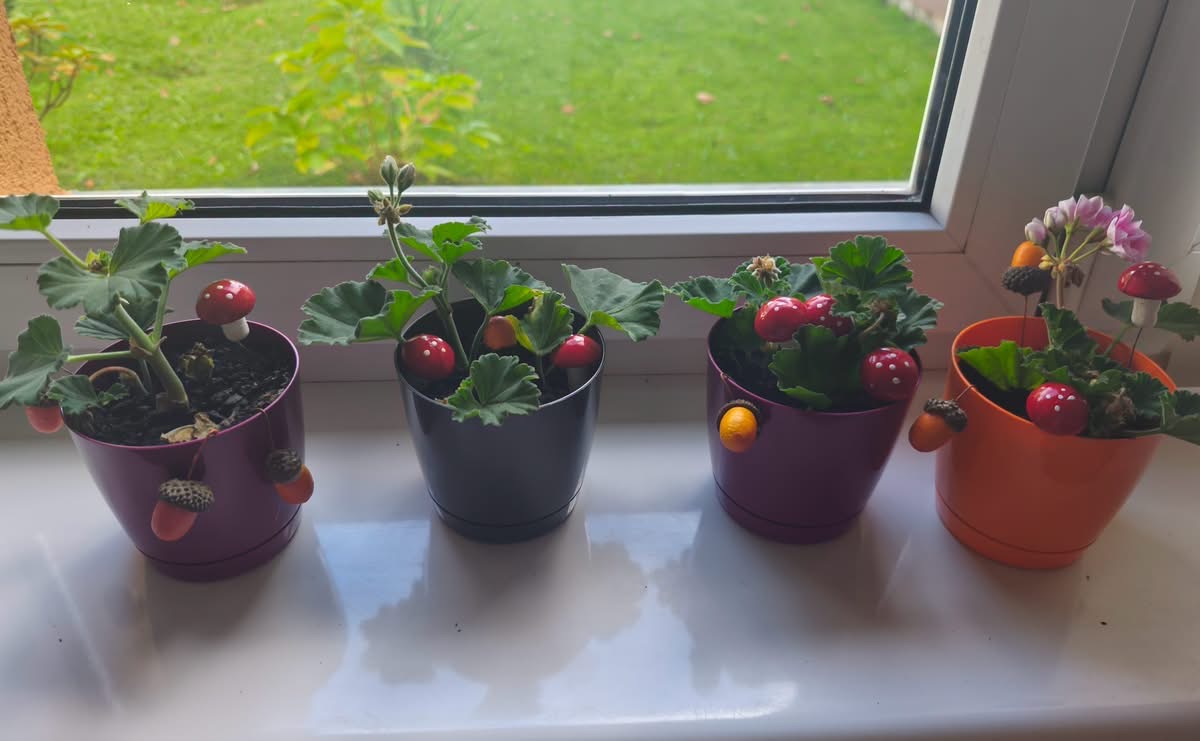 Zdjęcie do Mała hodowla, wielka przygoda!