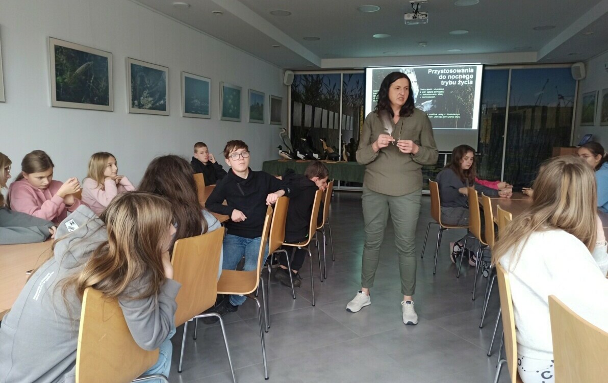 Zdjęcie do Sowy Polski